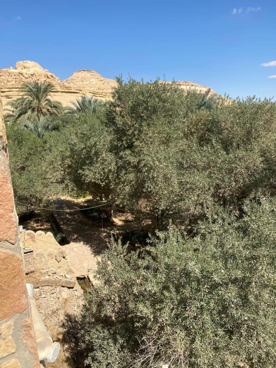 Fada Morgana Hotel Siwa Oasis Exterior photo